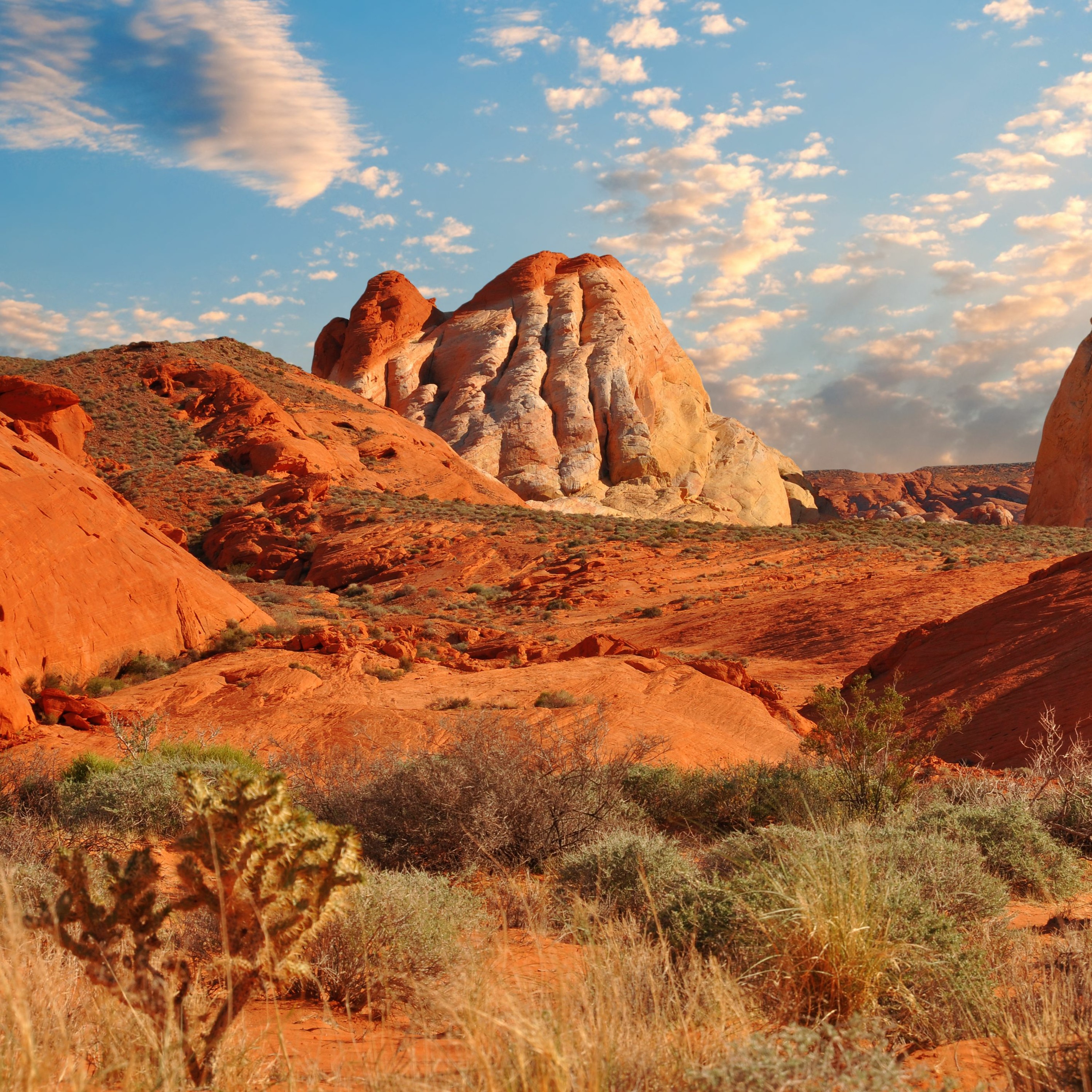 NDOW presents the Nevada Wild Podcast