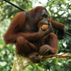 Kenny Beats Beat Battle 8-2-21