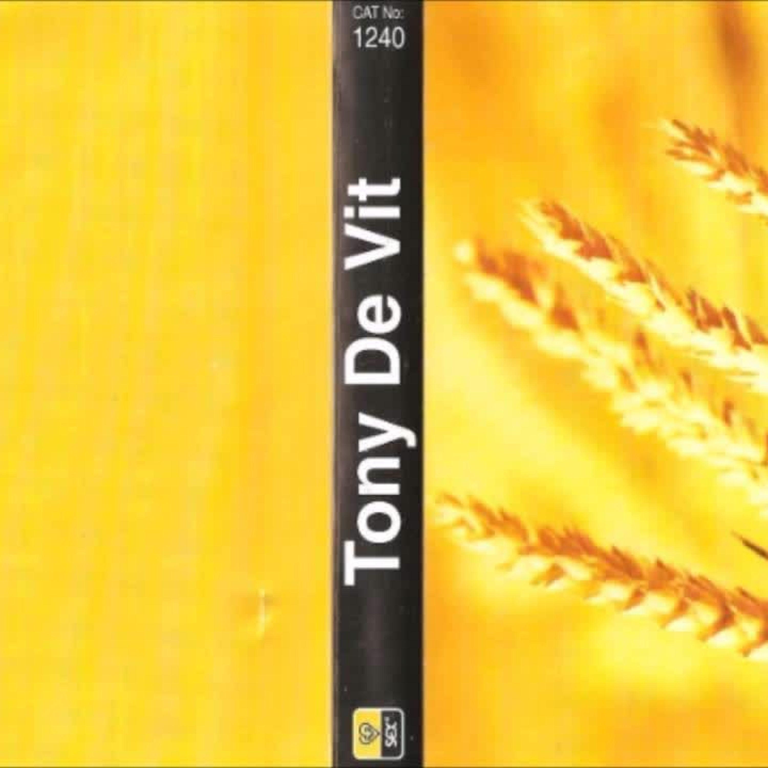Tony de Vit mixed Live. Cat 1240 Orange Full  (Date Unknown) episode artwork
