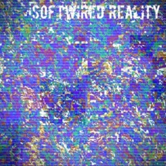 Softwired Reality