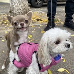 Freaky Tales (prod. Fony Wallace)