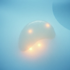 Ghost In A Shell