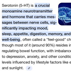 Serotonin(raged).m4a