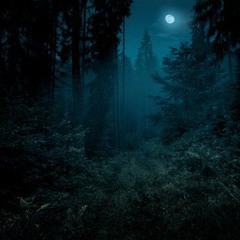 the night