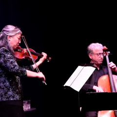 Darvish Khān - Chāhār Mezrābe Māhur (arr. Kian Ravaei) for violin and cello (2025)