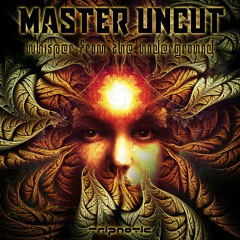 Master Uncut - Whisper From The Underground ( Orginal Mix)148 BPM