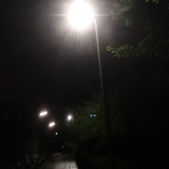 bar_too_high_pete_ff (1)