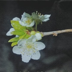 Tech House Set 31.08.2023 Bye Bye Summer