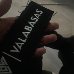 cobra ft trentstrr (springghbk)