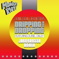 Sonic Soul Orchestra feat Duriel Daley - Dripping & Dropping - Jaegerossa Remix (teaser)