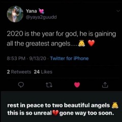 FLY HIGH ( A tribute to Ayana and Kaya)