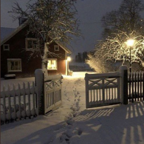 هـ ، الموسوي ' العادل الظالم 🖤.