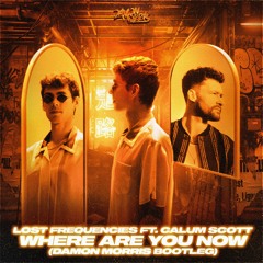 Where Are You Now (Damon Morris Bootleg)