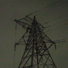 цветение сакуры - Я Сидел На Берегу, Вспоминая, Как В 2019 Тут Же