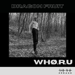 Guest Mix 164: WHØ.R.U