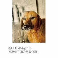 차가워 .solo ver