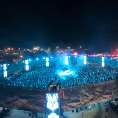 Bass Canyon Wubs
