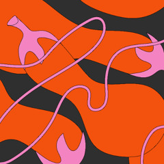 Ferment Station w/ Mini Zucchini (15.04.2025)