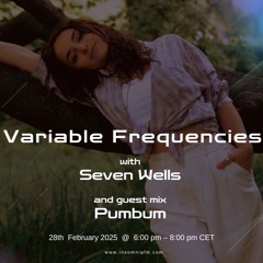 Variable Frequencies (Mixes by Seven Wells & Pumbum) - VF133