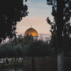 القارئ مجد هدمي - الشفع والوتر من تهجد ليلة 29 رمضان 1446 في المسجد الأقصى