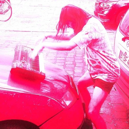 Sommer Der Polarfüchse