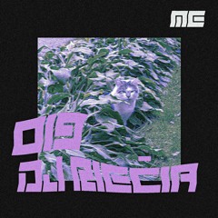 MORAL ECHOES PODCAST 019 - DJ Riečia