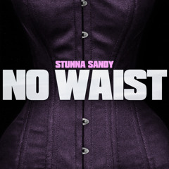 No Waist (Sped Up Remix Radio Edit)
