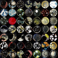 Mafraja - Calibrate System Control