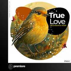 Premiere: Diego Knows & Majak - True Love (Dub Mix) - Intimate project music