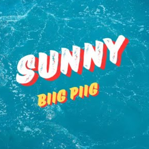 Biig Piig - Sunny (Amito Edit)