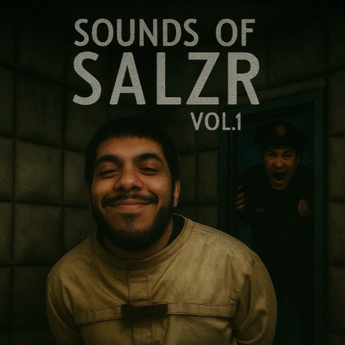 Sounds Of Salzr Vol. 1