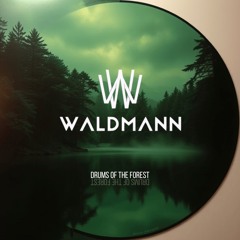 Waldmann - Drums Of The Forest [FREE DOWNLOAD]