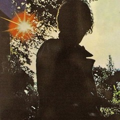 THE WORLD IS NEVER YOURS