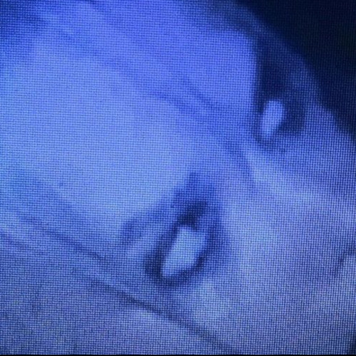step on(e) (prod.sn7)