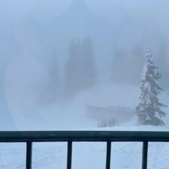 Bergjam │ Sessions