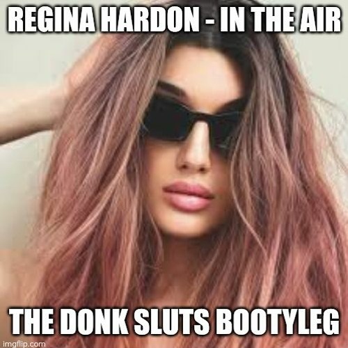 Regina Hardon - In The Air  - The Donk Sluts Bootyleg (Free Download)