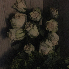 mourn (noise complaint x ran home)