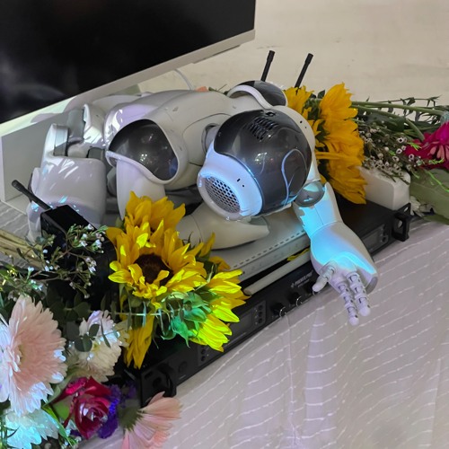 Death of the Internet (Deep Bass/Dark Digital Melodic Euphoric Techhouse)