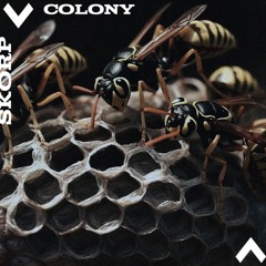 Colony