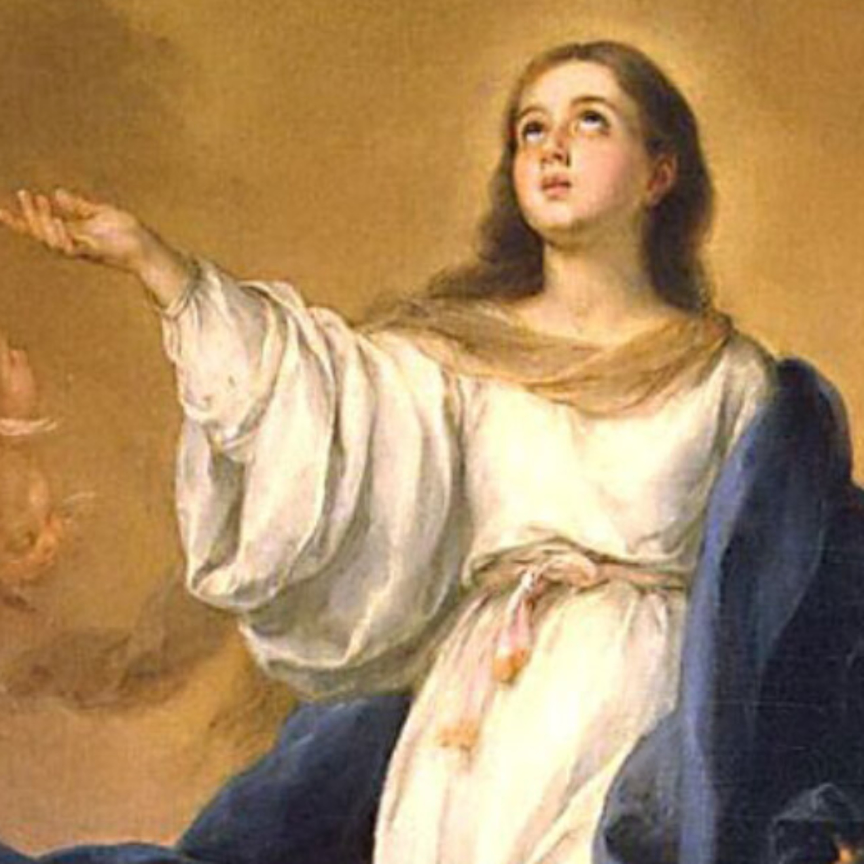 Meditación. María Madre de Dios y Madre nuestra: la devoción a la Virgen episode artwork