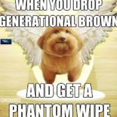 music that plays when you drop generational brown and get a phantom wipe