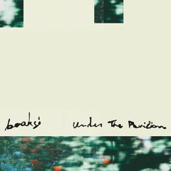 Boaksi - Under The Pavilion EP (STEPS-002)