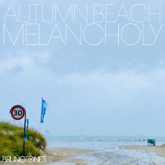 Autumn Beach Melancholy