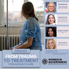 Women In Government Podcast