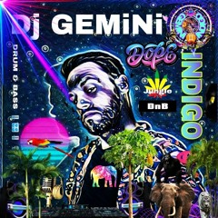 DJ GeMiNi ♊ InDiGo drum and bass Productions