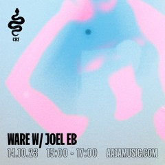 WARE w/ Joel EB - Aaja Channel 2 - 14 10 23