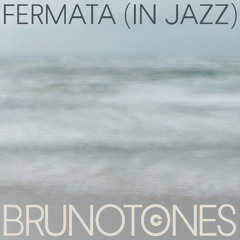 Fermata in Jazz