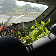 AMOR DE RUTINA(DEMO)