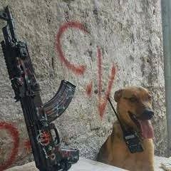 O TERROR DE SANTA CRUZ COMANDO VERMELHO UNIÃO (B N B A L L A - O F C ϟ)