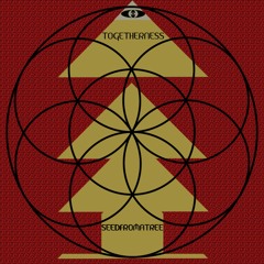 2020 Vision - Singles